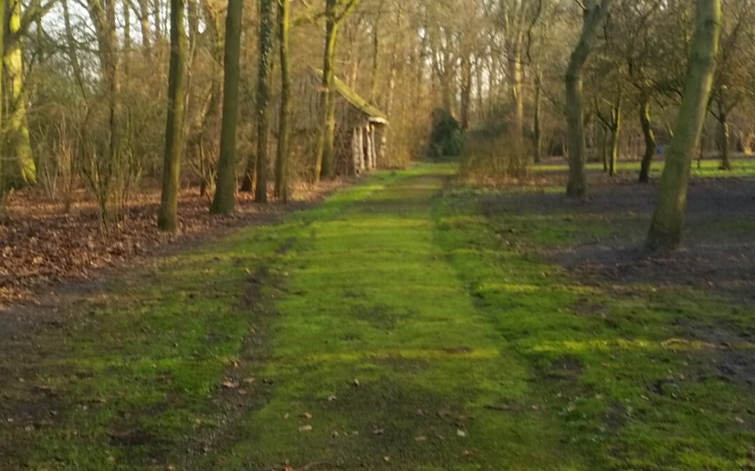 Fietsen met mijn kleine