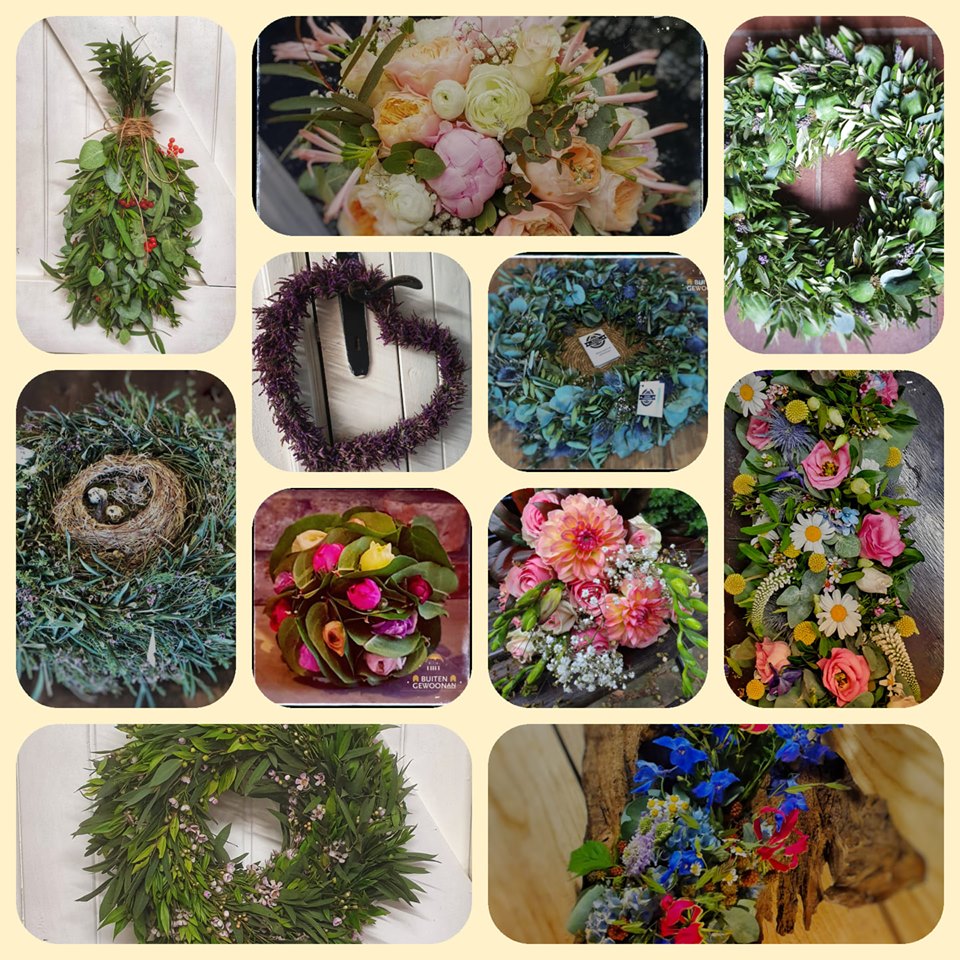 e00a3d8aace37aeaf5b0c9787d7e3a6c